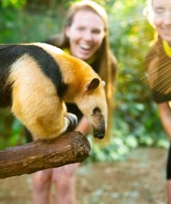 trainer for a day discoverycoveorlando